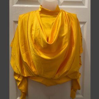 Cowel Neck Top